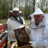 Bazsongó Tradicionális Méhészeti szövetkezés