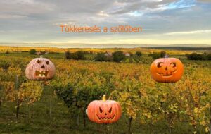 T(N)agyon jó Halloween @ Tagyon Birtok
